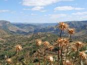 montaña ¿Gorra Sombrero?