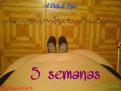 A Vista de Tripa I