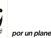 Chile pide medidas contundentes para combatir pesca ilegal país