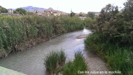 Archena con niños: área recreativa de la presa de Río Muerto