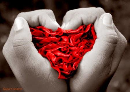 Como una lluvia de petalos