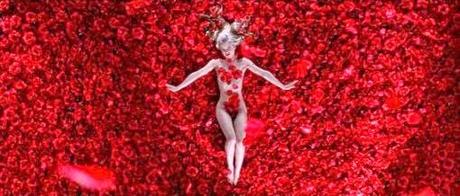 Como una lluvia de petalos