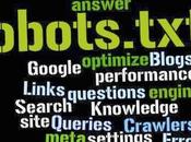 ¿Que Robots txt.?