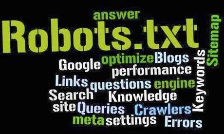 ¿Que son los Robots txt.?