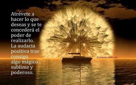 positivo482061_409605915792364_1194838715_n