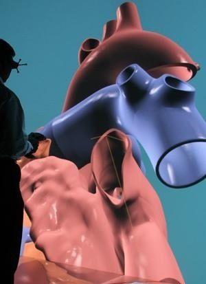 Primer corazon virtual completo para el estudio de enfermedades cardiacas.