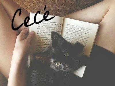 [Cecé] Reseña: Maravilloso desastre de Jamie McGuire