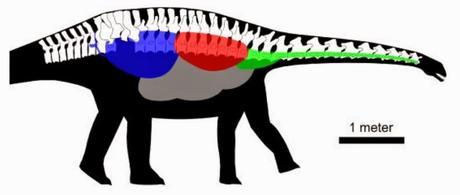Dinotibios y el rumor de la sangre caliente