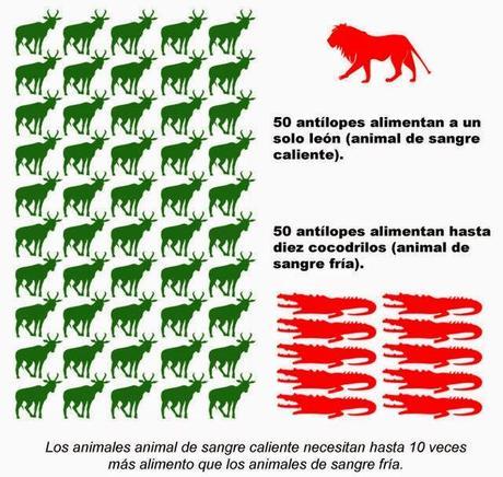 Dinotibios y el rumor de la sangre caliente