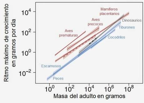 Dinotibios y el rumor de la sangre caliente