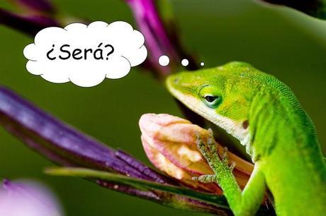 Dinotibios y el rumor de la sangre caliente