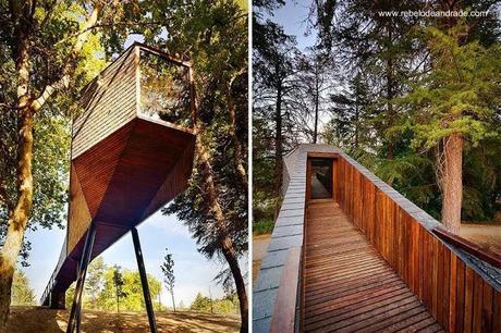Estructura habitable de madera alargada entre los árboles en Portugal
