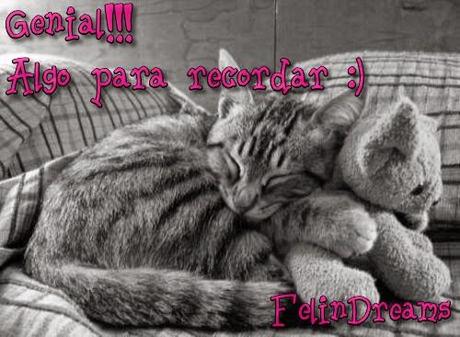 A un Beso del Pasado by Ana F. Malory