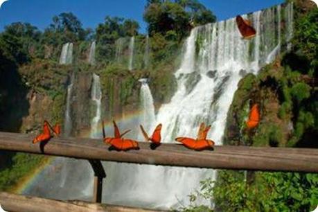 parque nacional iguazu3