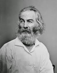 1.  Walt Whitman, un gran Poeta en un País en Plena  Adolescencia...