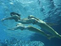 Reseña:Canción de mar #3 Olas-Amanda Hocking