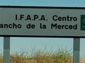 ATENEO VINO: Visita IFAPA Centro "Rancho Merced" Jerez