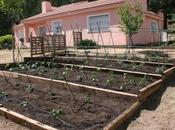 Realizamos Leroy Merlin huerto Aldeas Infantiles