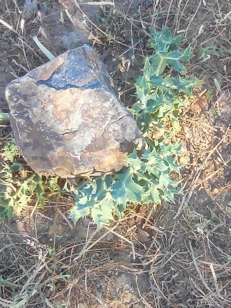 Cuenta la leyenda....