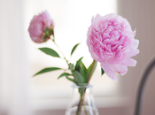 pequeño detalle para iniciar semana...