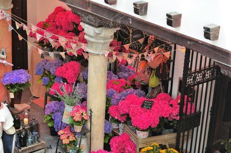 Rua Pop up ~ Mi Experiencia. Rua Pop up ~ Mi Experiencia.