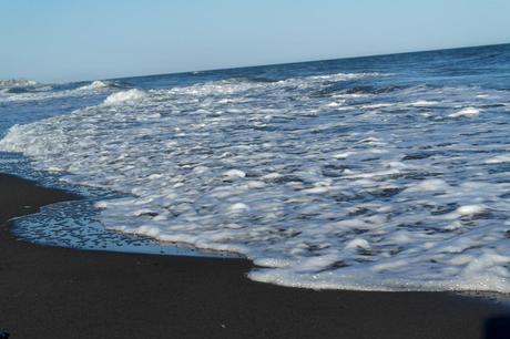 WELCOME SUMMER WELCOME SUMMER