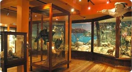 Museo de la Patagonia Francisco Moreno