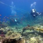 Mar Rojo Junio 2014 (Día 1) MAR ROJO 2014 (179)