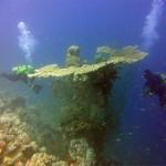 Mar Rojo Junio 2014 (Día 1) MAR ROJO 2014 (22)