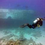 Mar Rojo Junio 2014 (Día 1) MAR ROJO 2014 (7)