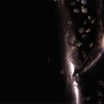 Mar Rojo Junio 2014 (Día 1) MAR ROJO 2014 (394)