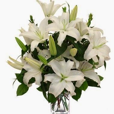 Nuevo diseño en la cocina....