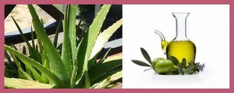 cats4 Cómo hacer una loción corporal casera