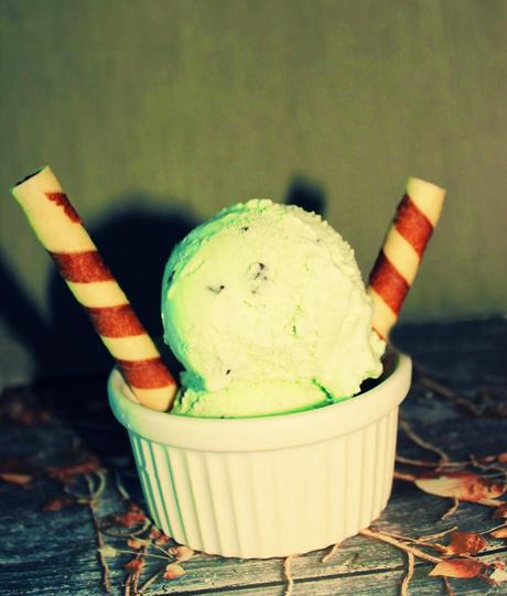 HELADO DE MENTA POLEO CON CHIPS DE CHOCOLATE