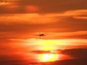 ¿cómo funciona trabajo equipo dentro vuestras organizaciones?