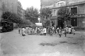 VERBENA DE SANT JOAN, 2014...23-06-2014.