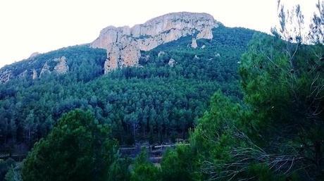bejis Planes de verano niños