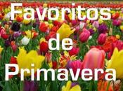 Favoritos Primavera