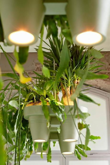 macetas colgasen con lámpara 