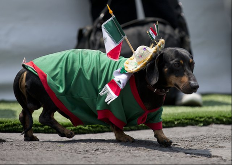 Vamos a Celebrar con Verde, Hoy gana México ! Recetas y manualidades.