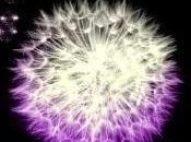 Adivina quien esta noche, Megan Maxwell