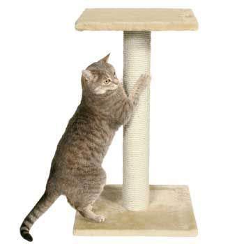 Cómo elegir un poste rascador para nuestro gato poste rascador básico