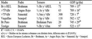 Monografías alumnos I: Cruzamientos en bovinos de carne Ortega 4