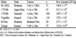 Monografías alumnos I: Cruzamientos en bovinos de carne Ortega 5