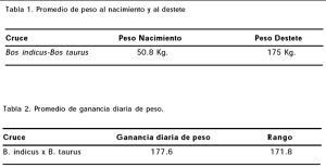 Monografías alumnos I: Cruzamientos en bovinos de carne Cruzam Ortega-1