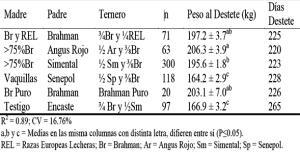 Monografías alumnos I: Cruzamientos en bovinos de carne Ortega3