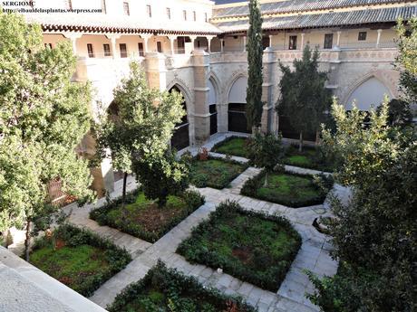 Entorno de Santa Isabel, Toledo