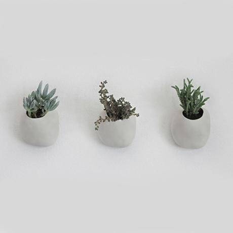 Rienda suelta a la creatividad...