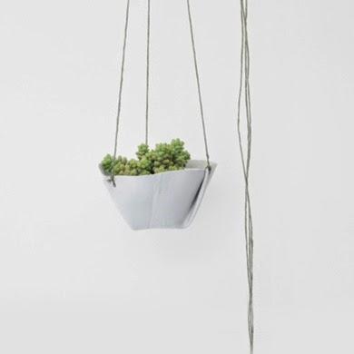 Rienda suelta a la creatividad...