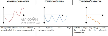 Principiante y Weider, dos polos opuestos Principiante y Weider, dos polos opuestos
